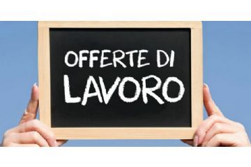 Ricerca autisti caricatori patente C+CQC